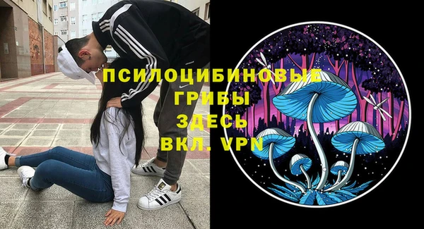мяу мяу мука Балабаново