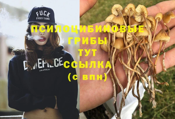 твердый Балахна