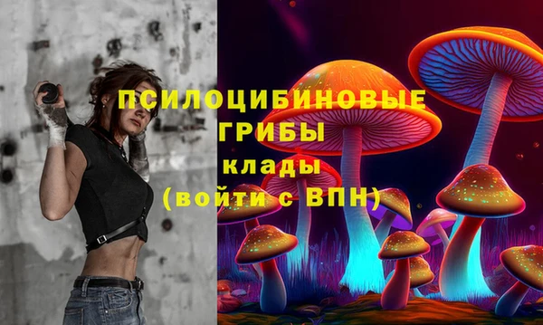 твердый Балахна