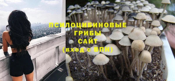 твердый Балахна