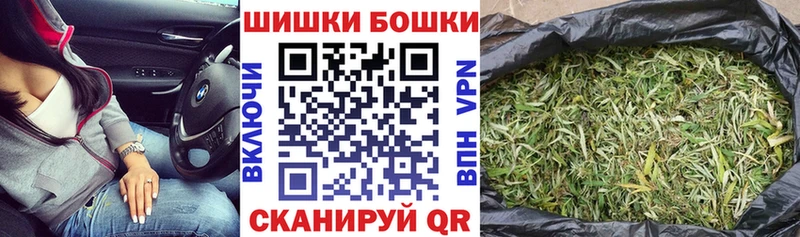 мега зеркало  Западная Двина  Шишки марихуана сатива 